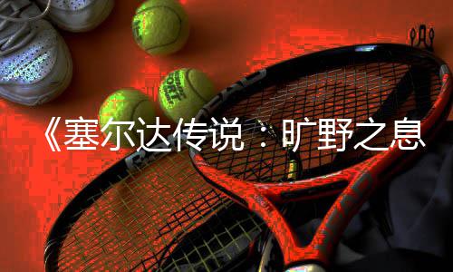 爬技旷尔达息下雨巧传说天攀野之塞