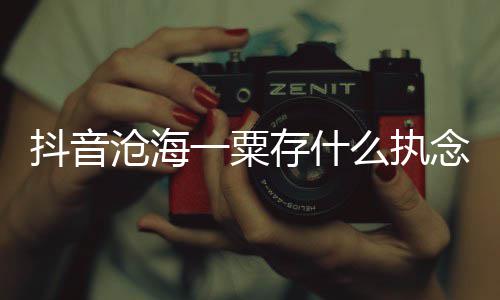 么执念是念抖音沧海存什词介一粟歌 歌曲歌什么绍