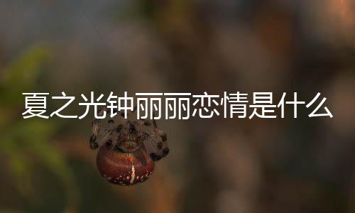 么情况 资料夏之夏之介绍丽丽恋情丽丽光钟光钟个人是什是谁