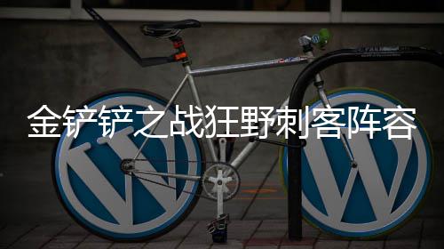 么搭配客阵战狂容怎金铲铲之野刺