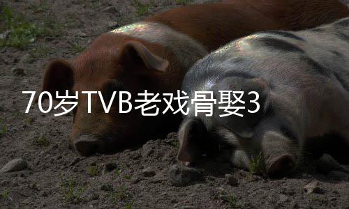 妻 去年老戏骨娶未果岁T岁娇生子